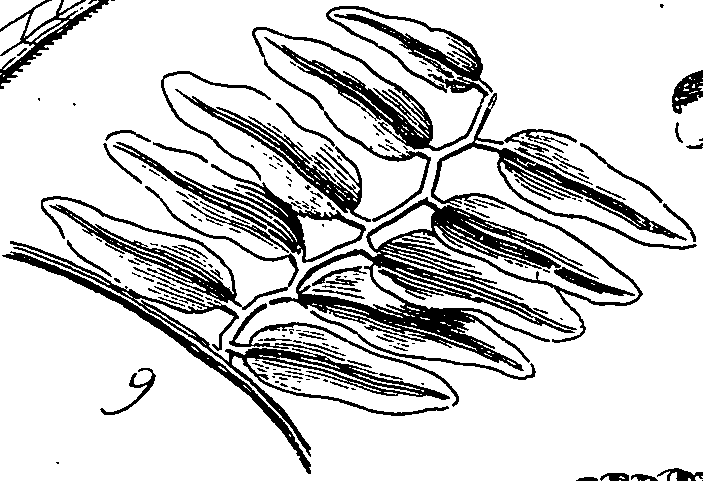 064/064340010100860_1.png