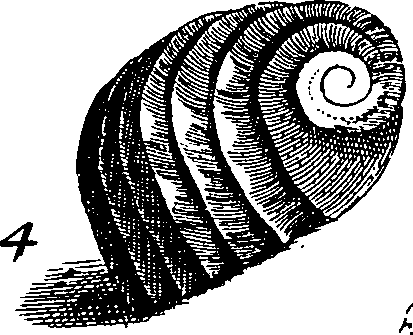 064/064340010100870_0.png