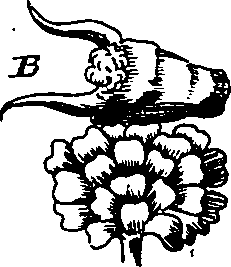 064/064340010100870_2.png