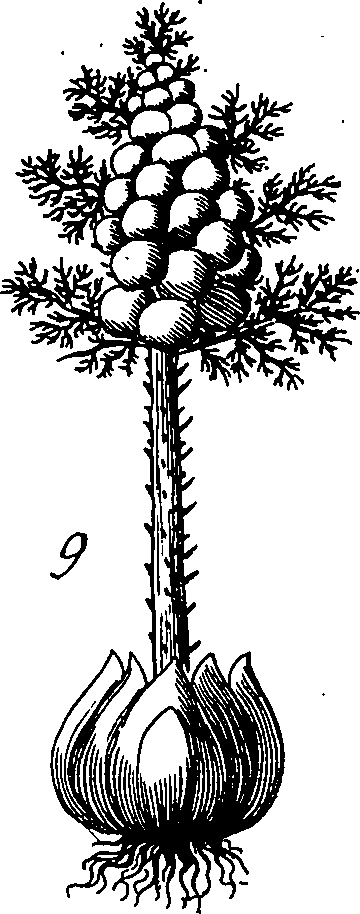 064/064340010100870_3.png