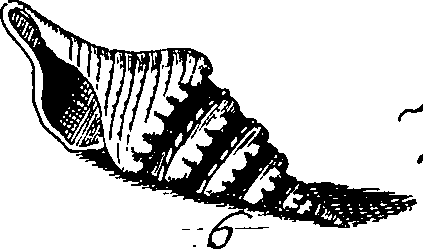 064/064340010100880_0.png