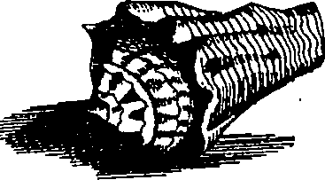 064/064340010100880_1.png