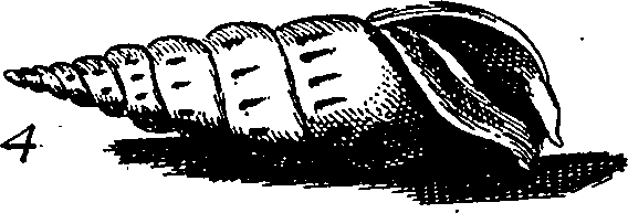 064/064340010100880_2.png