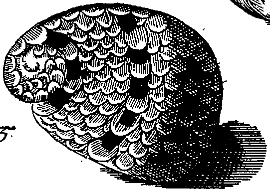 064/064340010100880_3.png