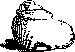 064/064340010100890_2.png