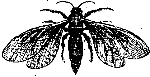 064/064340010100900_3.png