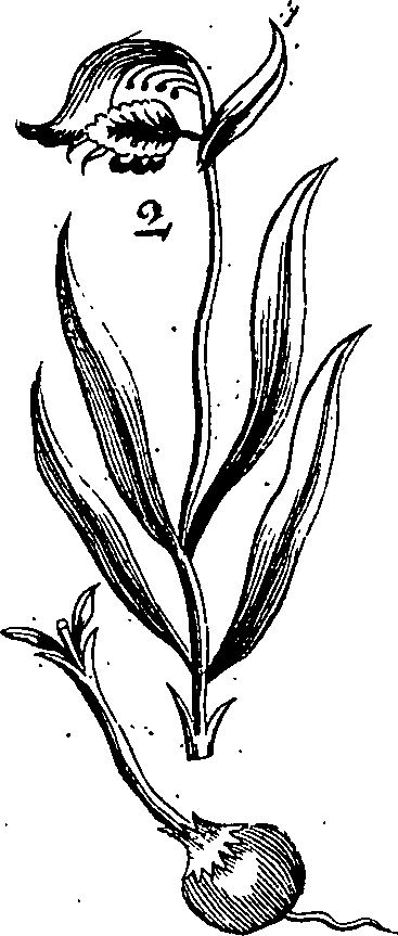 064/064340010100900_4.png