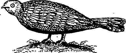 064/064340010100910_2.png