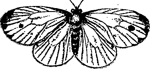 064/064340010100930_1.png