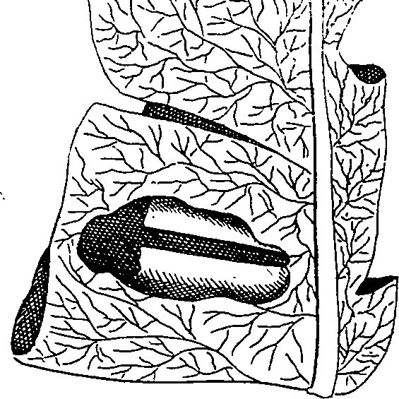 064/064340010100940_1.png
