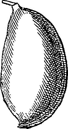 064/064340010100940_2.png