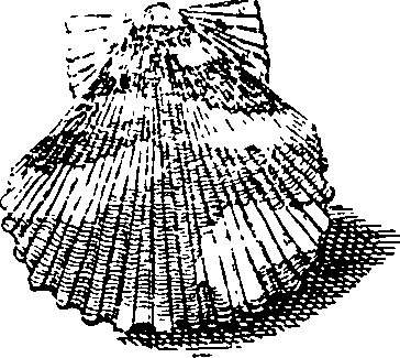 064/064340010100940_3.png