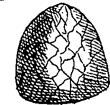 064/064340010100950_0.png