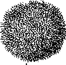 064/064340010100960_0.png