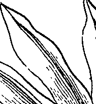 064/064340010100960_2.png
