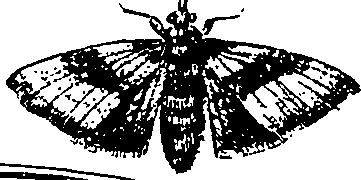 064/064340010100960_3.png