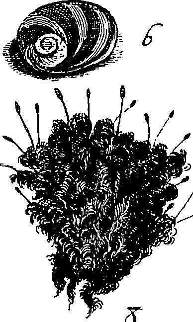 064/064340010100970_1.png