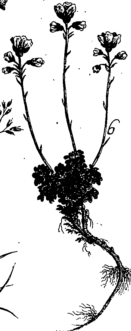 064/064340010100980_1.png