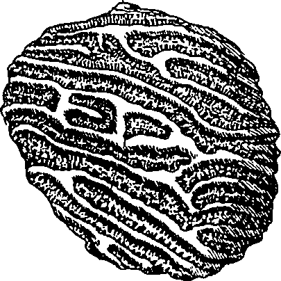 064/064340010101000_0.png