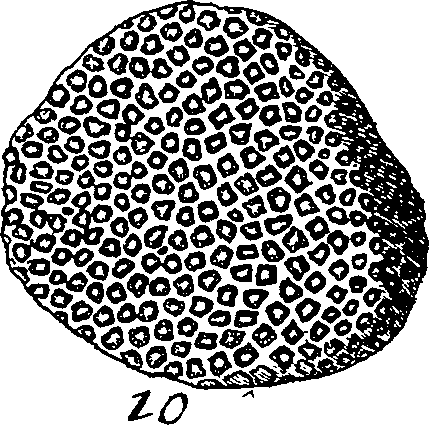 064/064340010101000_1.png