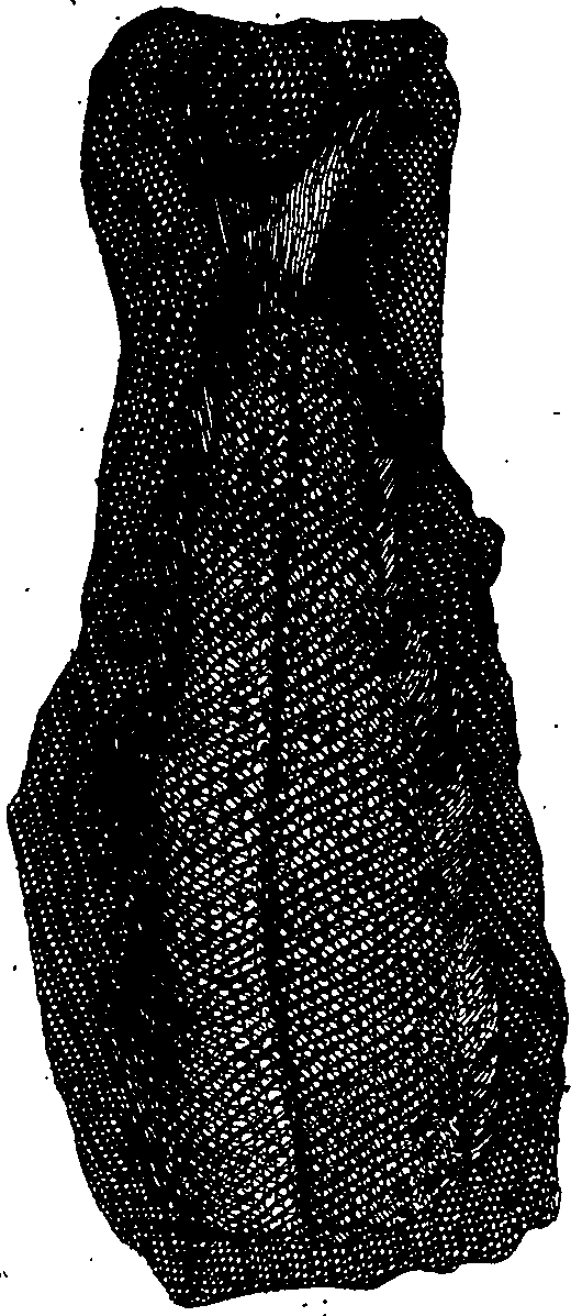 064/064340010101000_2.png