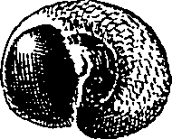 064/064340010101010_1.png