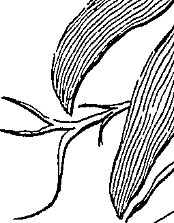 064/064340010101030_1.png