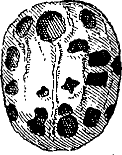 064/064340010101030_2.png