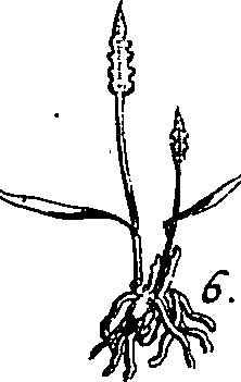 064/064340010101050_1.png