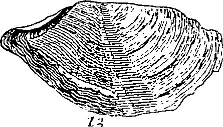 064/064340010101110_0.png