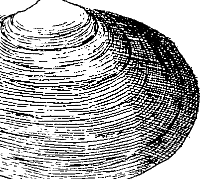 064/064340010101110_1.png