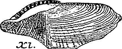 064/064340010101110_2.png