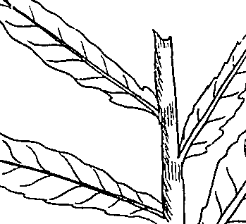 064/064340010101110_3.png