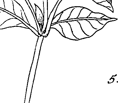 064/064340010101120_0.png
