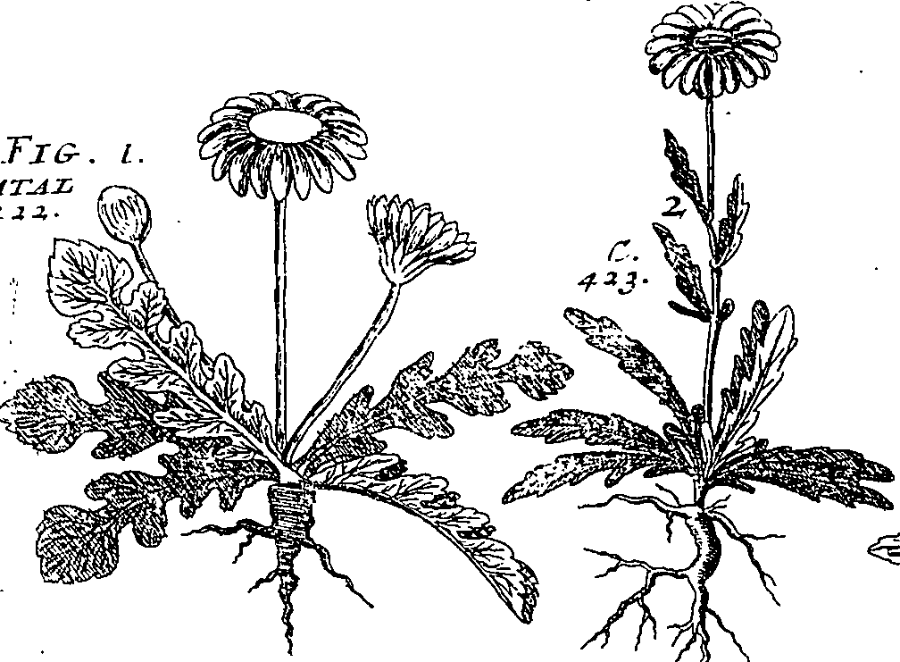 064/064340010101130_2.png