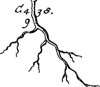 064/064340010101140_0.png