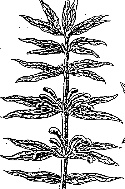 064/064340010101140_1.png