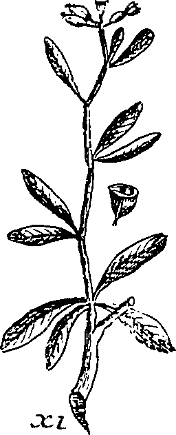 064/064340010101150_0.png