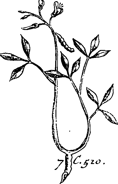 064/064340010101150_1.png