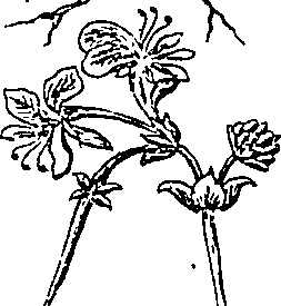 064/064340010101160_2.png