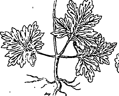 064/064340010101160_3.png