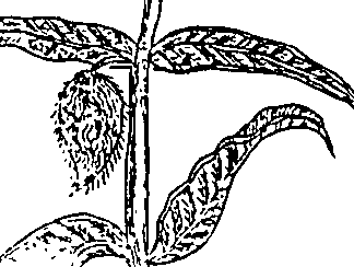064/064340010101160_5.png