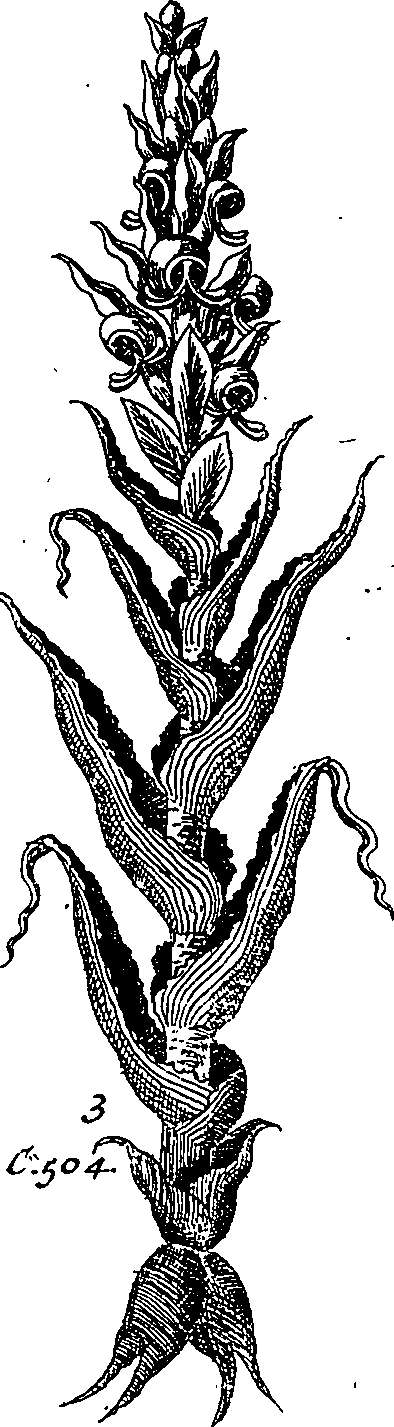 064/064340010101180_1.png