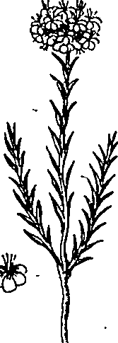 064/064340010101210_0.png