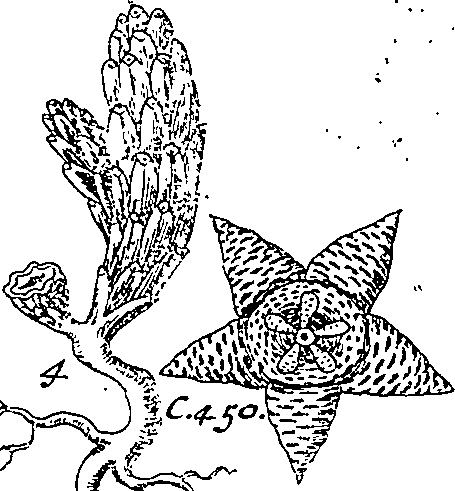064/064340010101220_0.png
