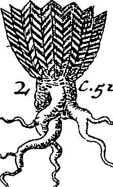 064/064340010101220_1.png