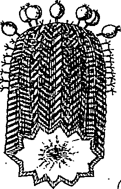 064/064340010101220_2.png