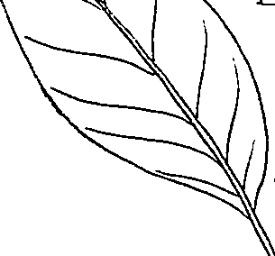 064/064340010101230_0.png