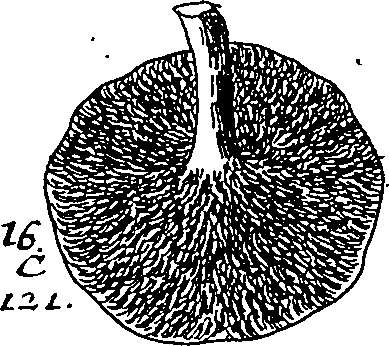 064/064340010101240_0.png