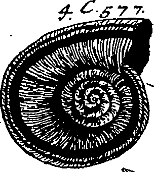 064/064340010101240_2.png